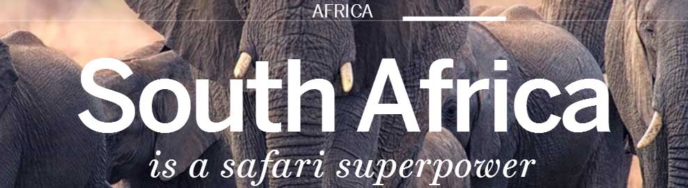 南非荷蘭語學(xué)習(xí)網(wǎng)