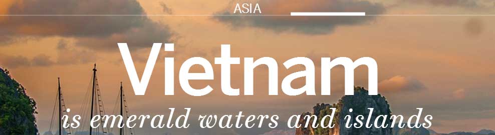 越南語常用分類單詞